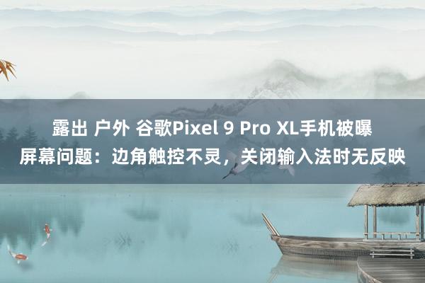 露出 户外 谷歌Pixel 9 Pro XL手机被曝屏幕问题：边角触控不灵，关闭输入法时无反映