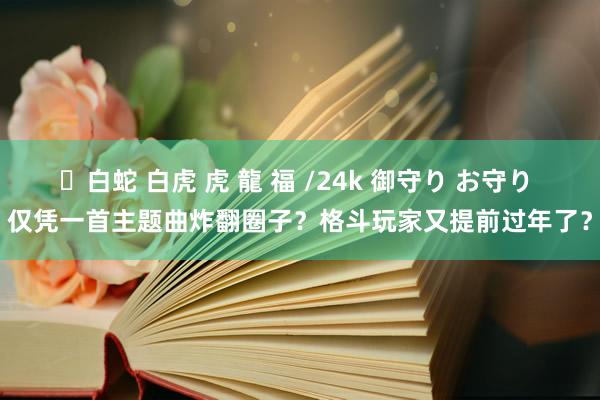 ✨白蛇 白虎 虎 龍 福 /24k 御守り お守り 仅凭一首主题曲炸翻圈子？格斗玩家又提前过年了？