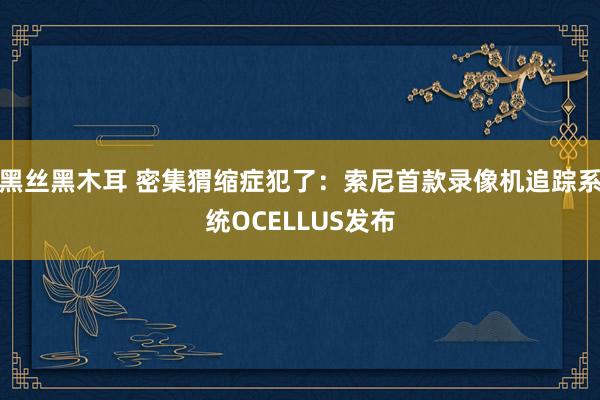 黑丝黑木耳 密集猬缩症犯了：索尼首款录像机追踪系统OCELLUS发布