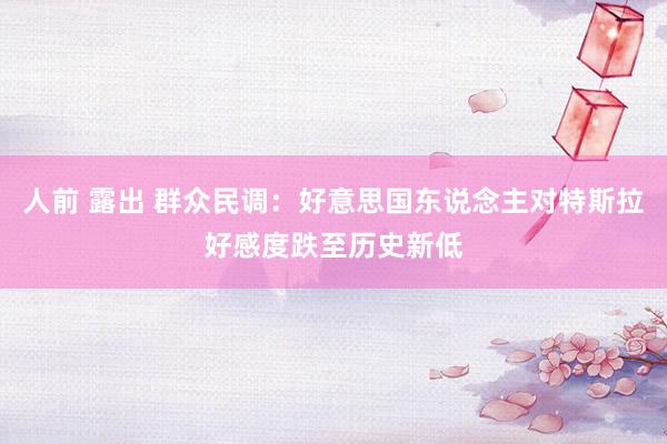 人前 露出 群众民调：好意思国东说念主对特斯拉好感度跌至历史新低