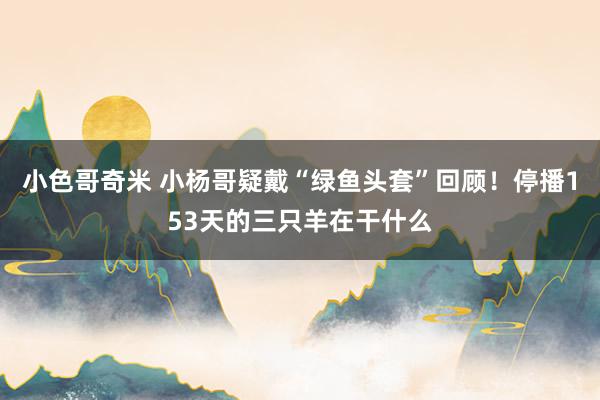 小色哥奇米 小杨哥疑戴“绿鱼头套”回顾！停播153天的三只羊在干什么