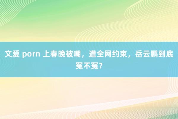 文爱 porn 上春晚被嘲，遭全网约束，岳云鹏到底冤不冤？