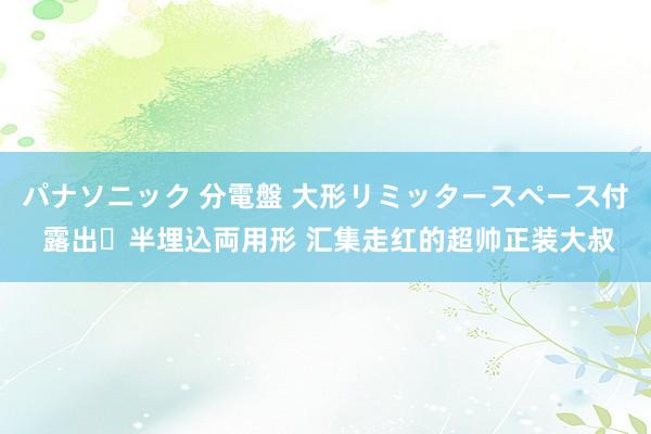 パナソニック 分電盤 大形リミッタースペース付 露出・半埋込両用形 汇集走红的超帅正装大叔