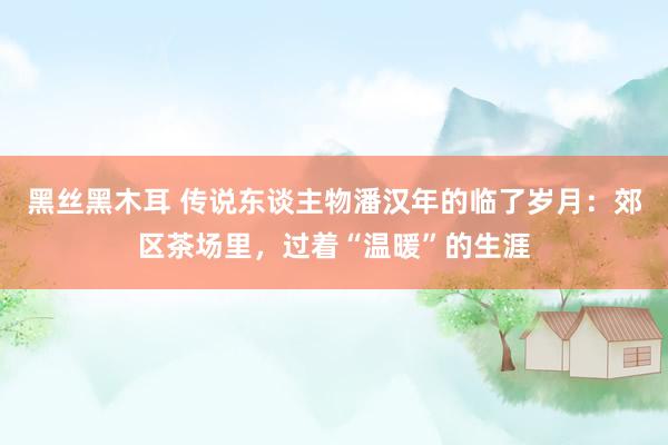 黑丝黑木耳 传说东谈主物潘汉年的临了岁月：郊区茶场里，过着“温暖”的生涯