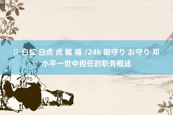 ✨白蛇 白虎 虎 龍 福 /24k 御守り お守り 邓小平一世中担任的职务概述
