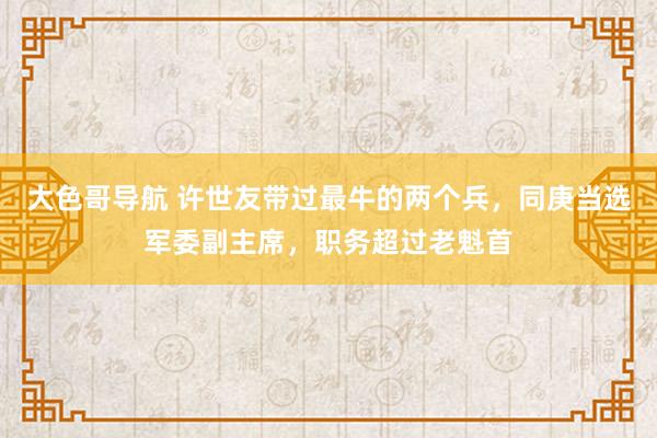 大色哥导航 许世友带过最牛的两个兵，同庚当选军委副主席，职务超过老魁首