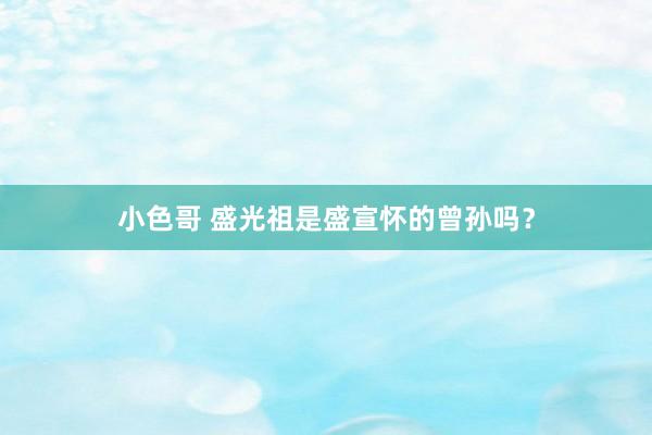 小色哥 盛光祖是盛宣怀的曾孙吗？