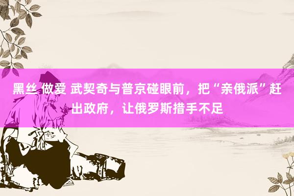 黑丝 做爱 武契奇与普京碰眼前，把“亲俄派”赶出政府，让俄罗斯措手不足