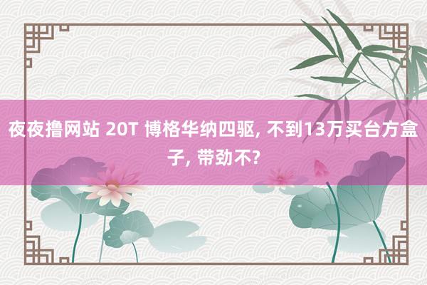 夜夜撸网站 20T 博格华纳四驱, 不到13万买台方盒子, 带劲不?