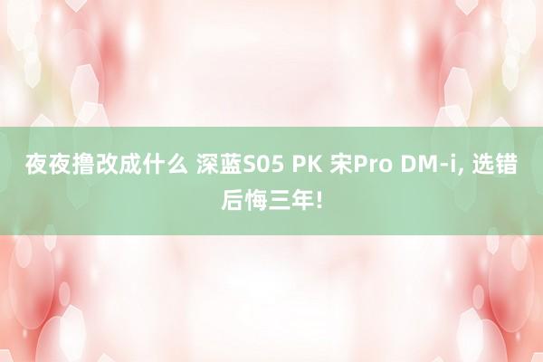 夜夜撸改成什么 深蓝S05 PK 宋Pro DM-i, 选错后悔三年!
