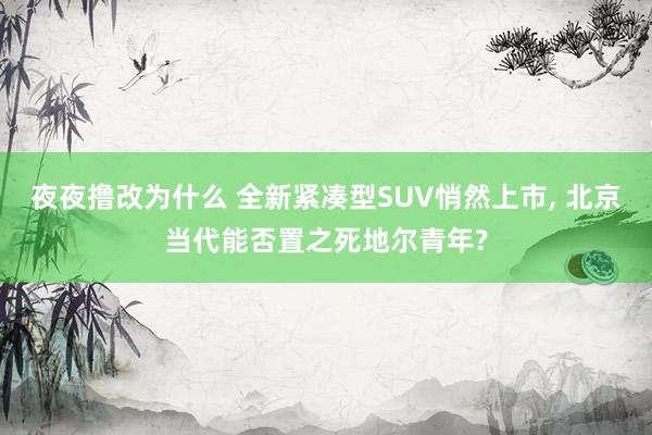 夜夜撸改为什么 全新紧凑型SUV悄然上市, 北京当代能否置之死地尔青年?