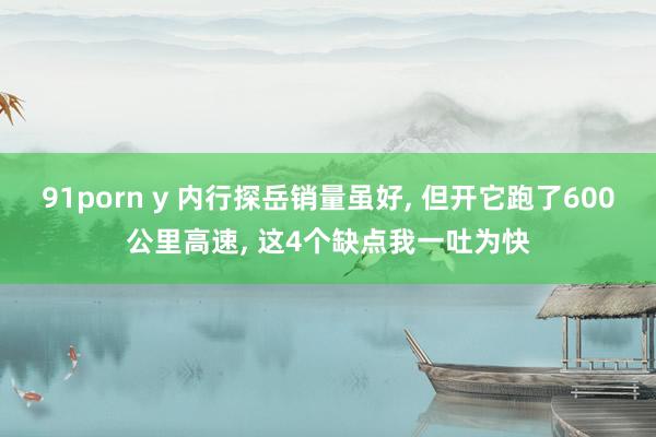 91porn y 内行探岳销量虽好, 但开它跑了600公里高速, 这4个缺点我一吐为快