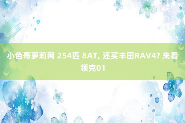 小色哥萝莉网 254匹 8AT, 还买丰田RAV4? 来看领克01