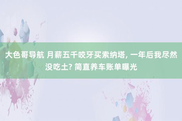 大色哥导航 月薪五千咬牙买索纳塔, 一年后我尽然没吃土? 简直养车账单曝光