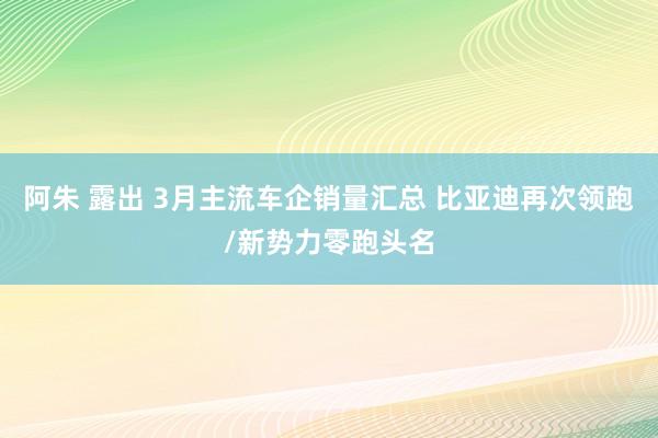 阿朱 露出 3月主流车企销量汇总 比亚迪再次领跑/新势力零跑头名