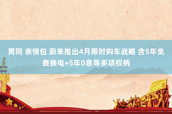 男同 表情包 蔚来推出4月限时购车战略 含5年免费换电+5年0息等多项权柄