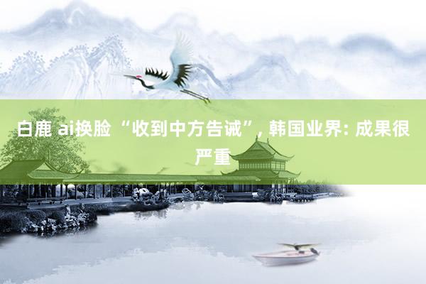 白鹿 ai换脸 “收到中方告诫”, 韩国业界: 成果很严重