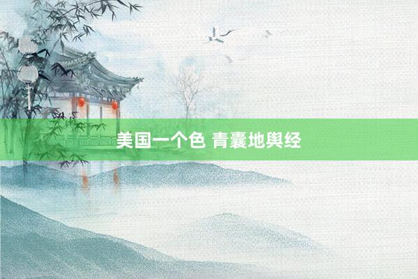 美国一个色 青囊地舆经