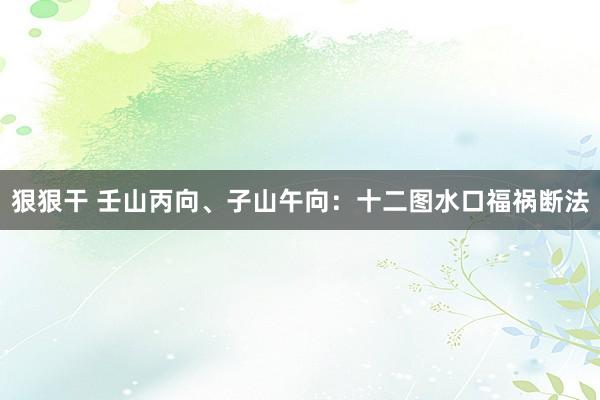 狠狠干 壬山丙向、子山午向：十二图水口福祸断法