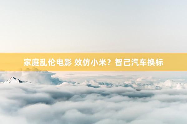 家庭乱伦电影 效仿小米？智己汽车换标
