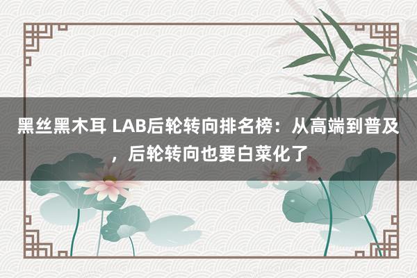 黑丝黑木耳 LAB后轮转向排名榜：从高端到普及，后轮转向也要白菜化了