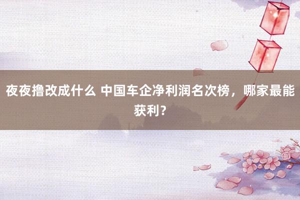 夜夜撸改成什么 中国车企净利润名次榜，哪家最能获利？