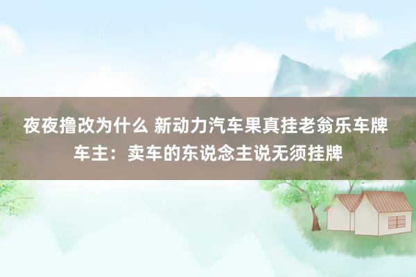 夜夜撸改为什么 新动力汽车果真挂老翁乐车牌 车主：卖车的东说念主说无须挂牌