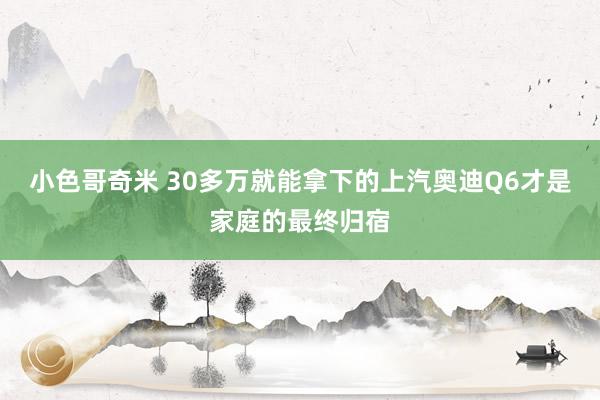 小色哥奇米 30多万就能拿下的上汽奥迪Q6才是家庭的最终归宿