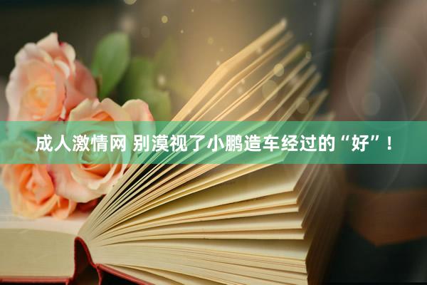 成人激情网 别漠视了小鹏造车经过的“好”！